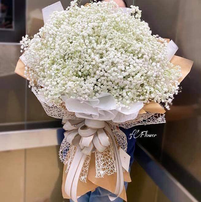 Bó hoa baby trắng